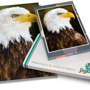 Bird of Prey Eye Jigsaw Puzzle