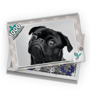 Pug Dog Jigsaw Puzzle