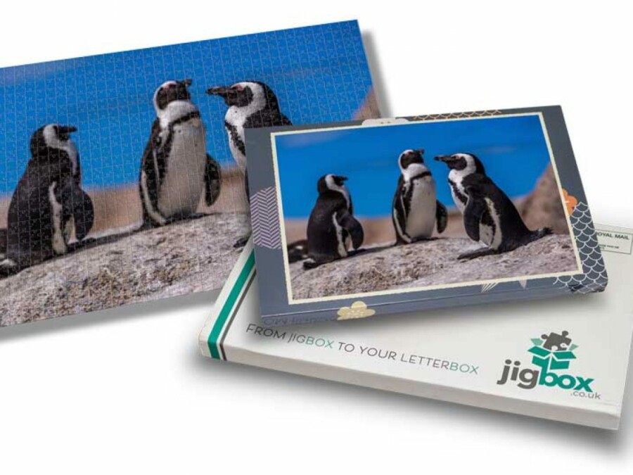 Penguins Jigsaw Puzzle Jigbox